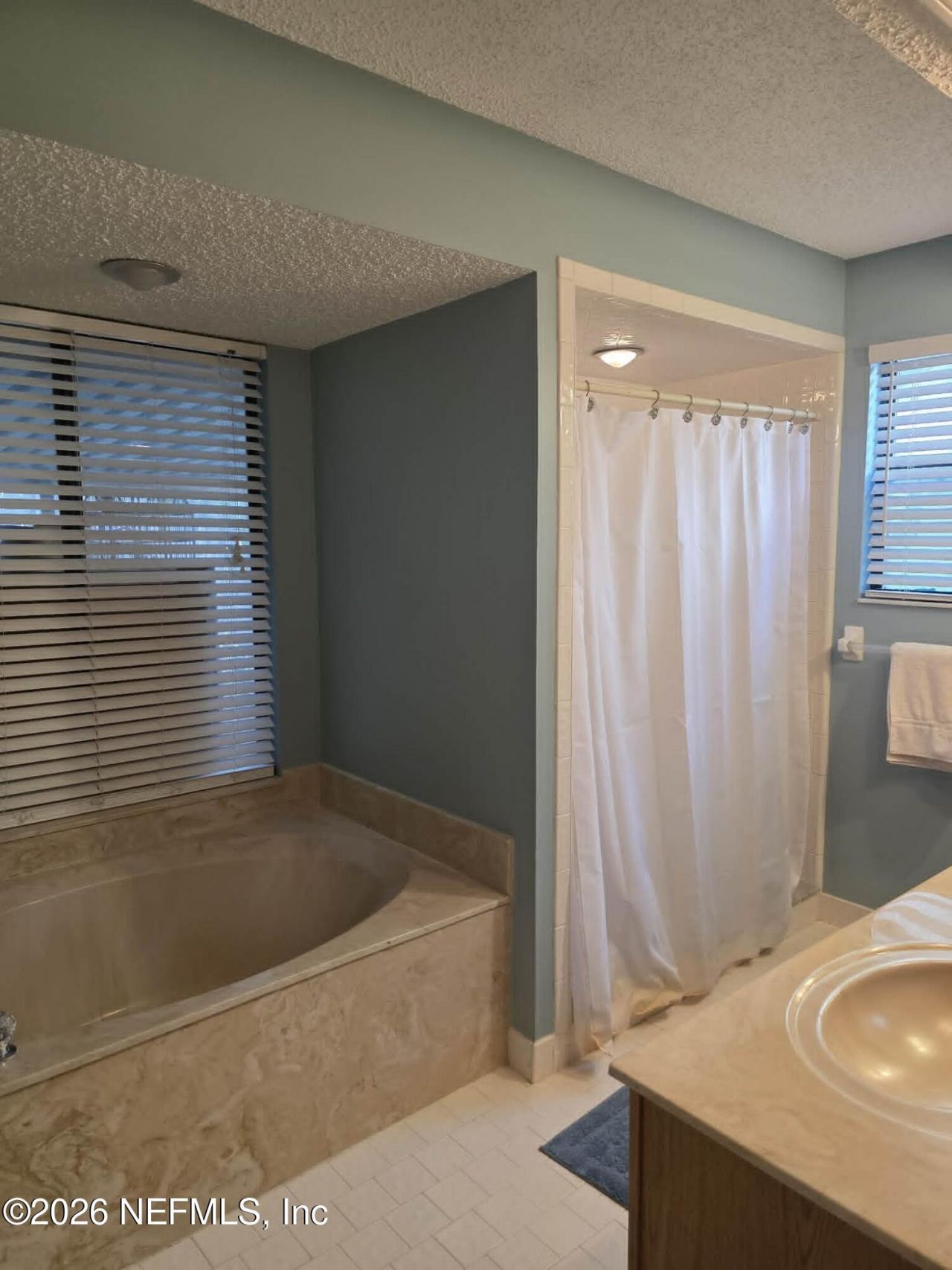 2058 Wax Myrtle Court, Orange Park, FL 32073 Photo
