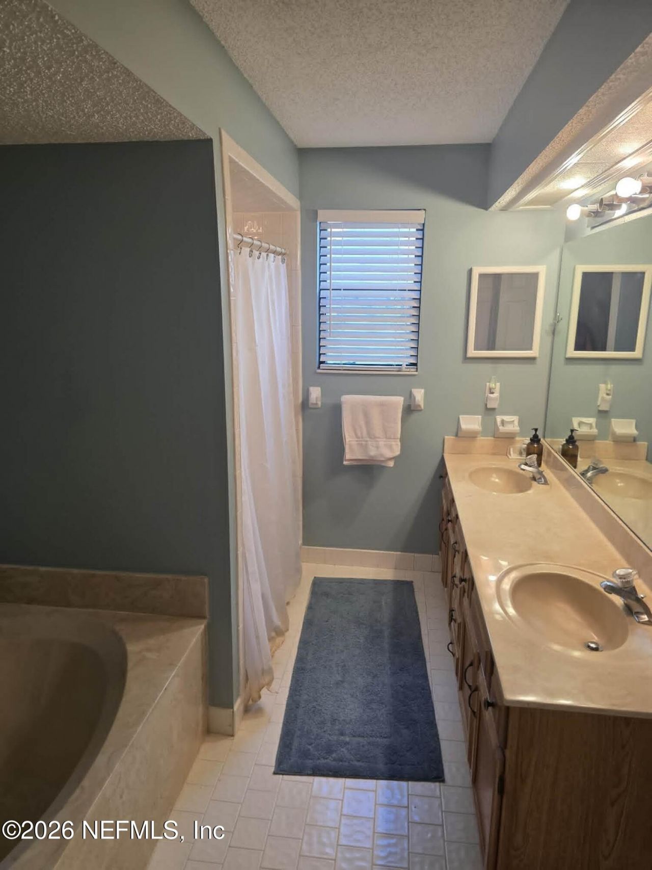 2058 Wax Myrtle Court, Orange Park, FL 32073 Photo