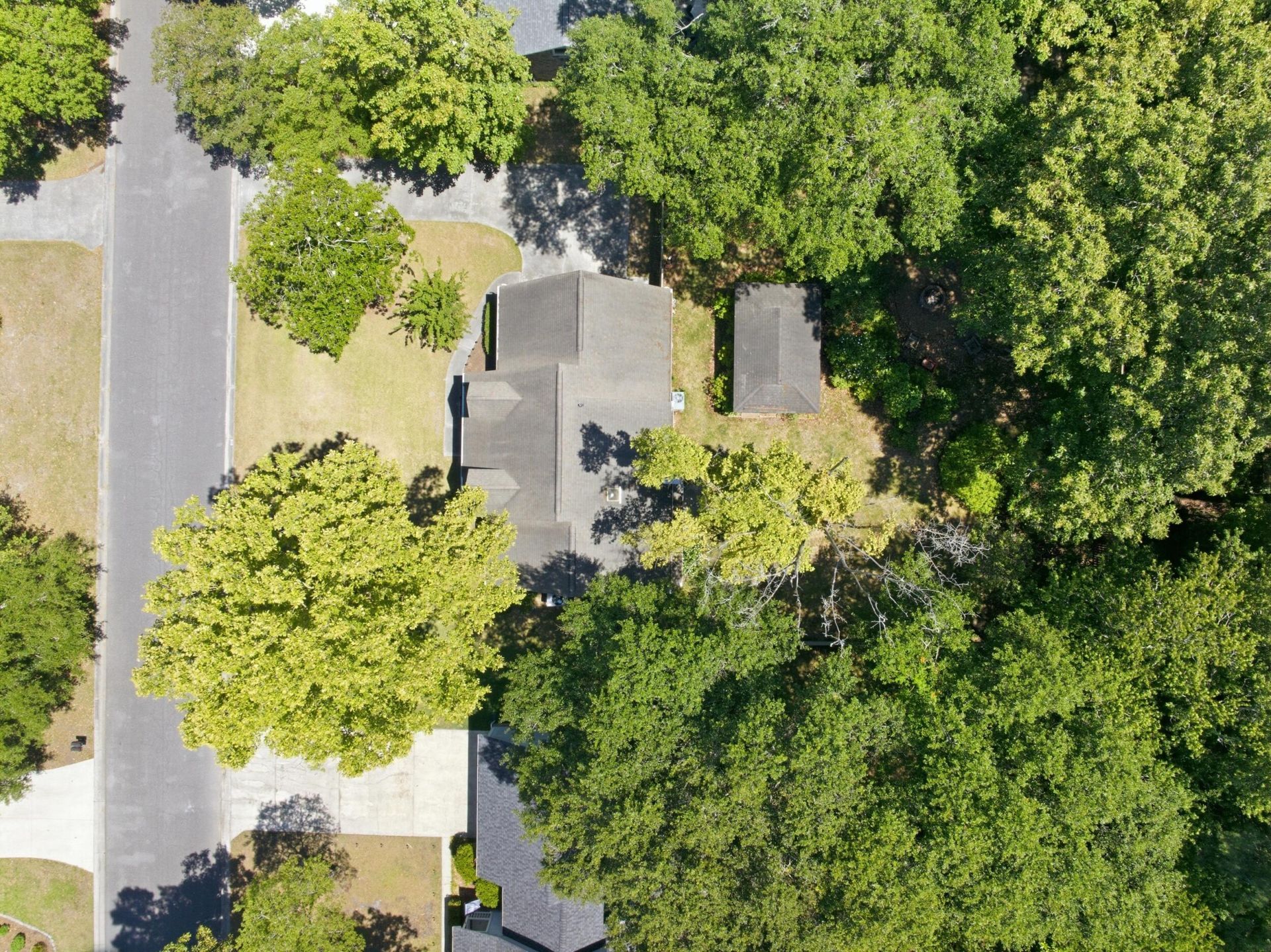 210 Fort Street Photo 32
