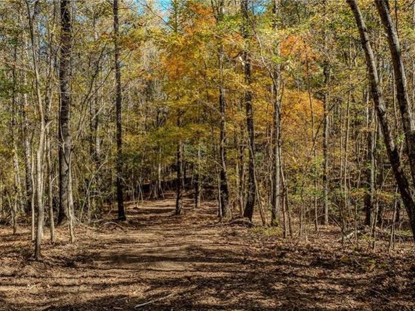 0 Jones Ferry Road , Chattahoochee Hills, GA 30268