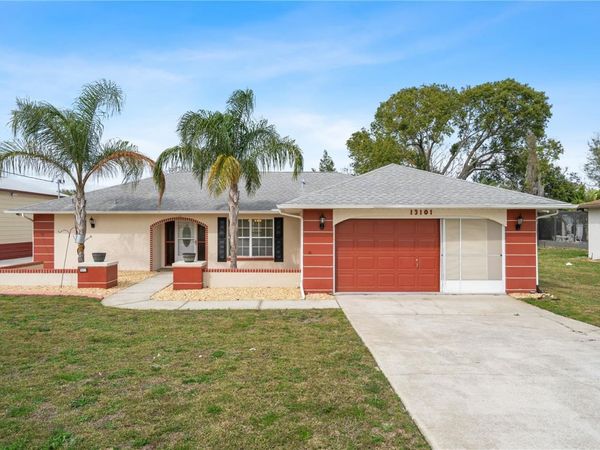 13101 DELBARTON STREET , SPRING HILL, FL 34609