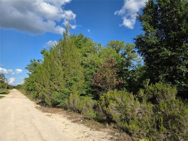 9070 NE 76TH STREET , BRONSON, FL 32621