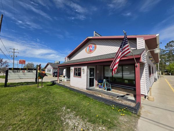 611 S Morenci Avenue, Mio, MI 48647