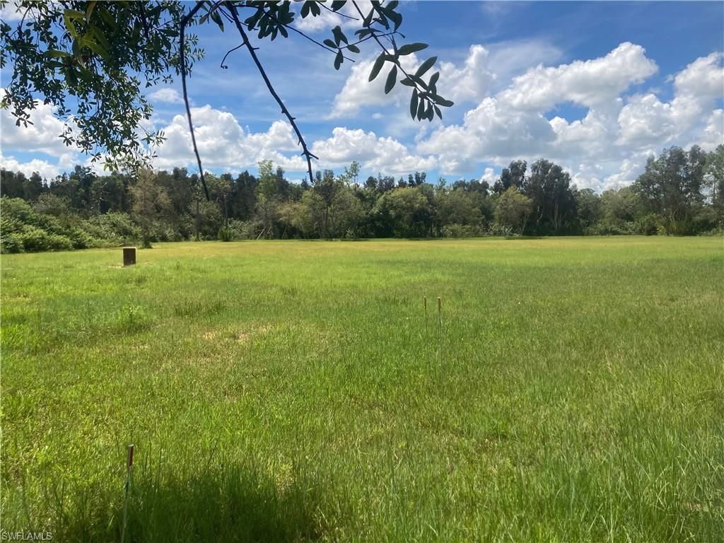 41601 Horseshoe Rd, Punta Gorda, FL 33982 Photo