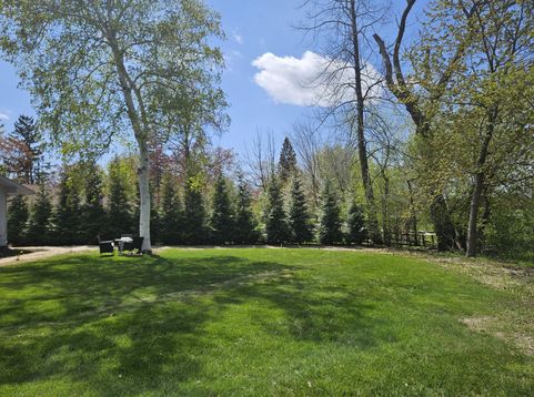 Main Photo