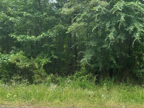 000 Wildcat Hollow , Dardanelle, AR 72834