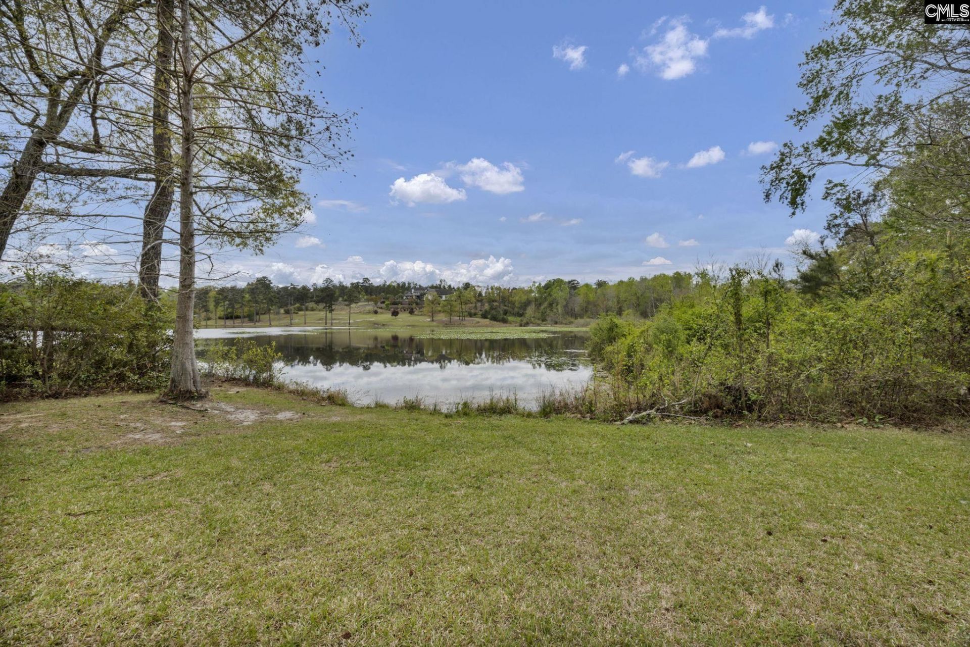 209 Upper Lake Drive Photo 65
