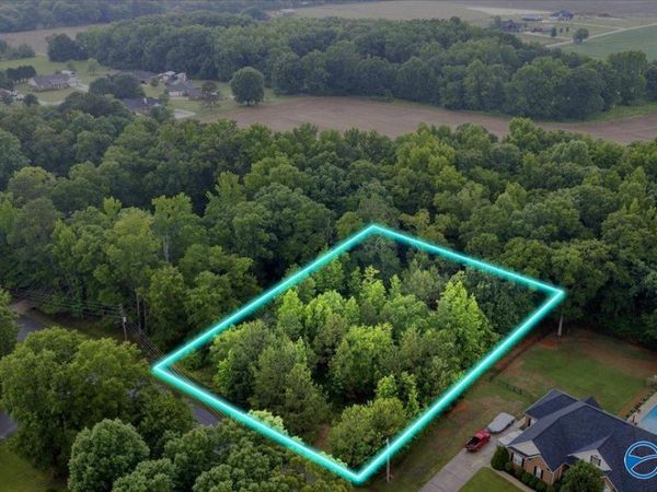 113 Whitfield Drive, Toney, AL 35773
