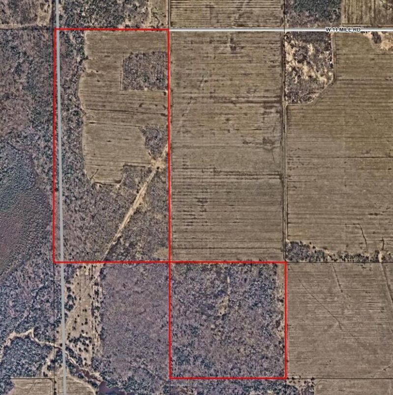 0 W 11 Mile Rd, Dafter, MI 49724 Main Photo