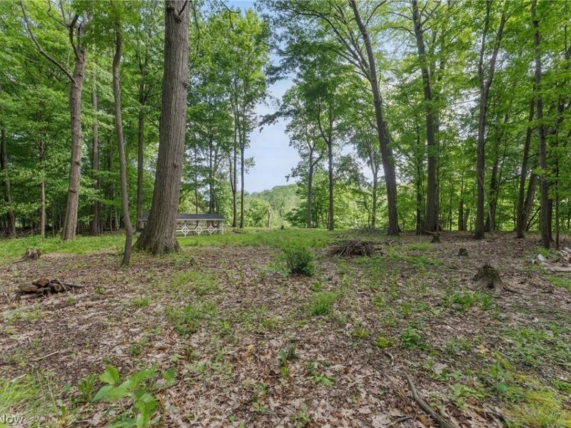6165 Grandridge Pointe Drive , Concord Township, OH 44077 Photo 7