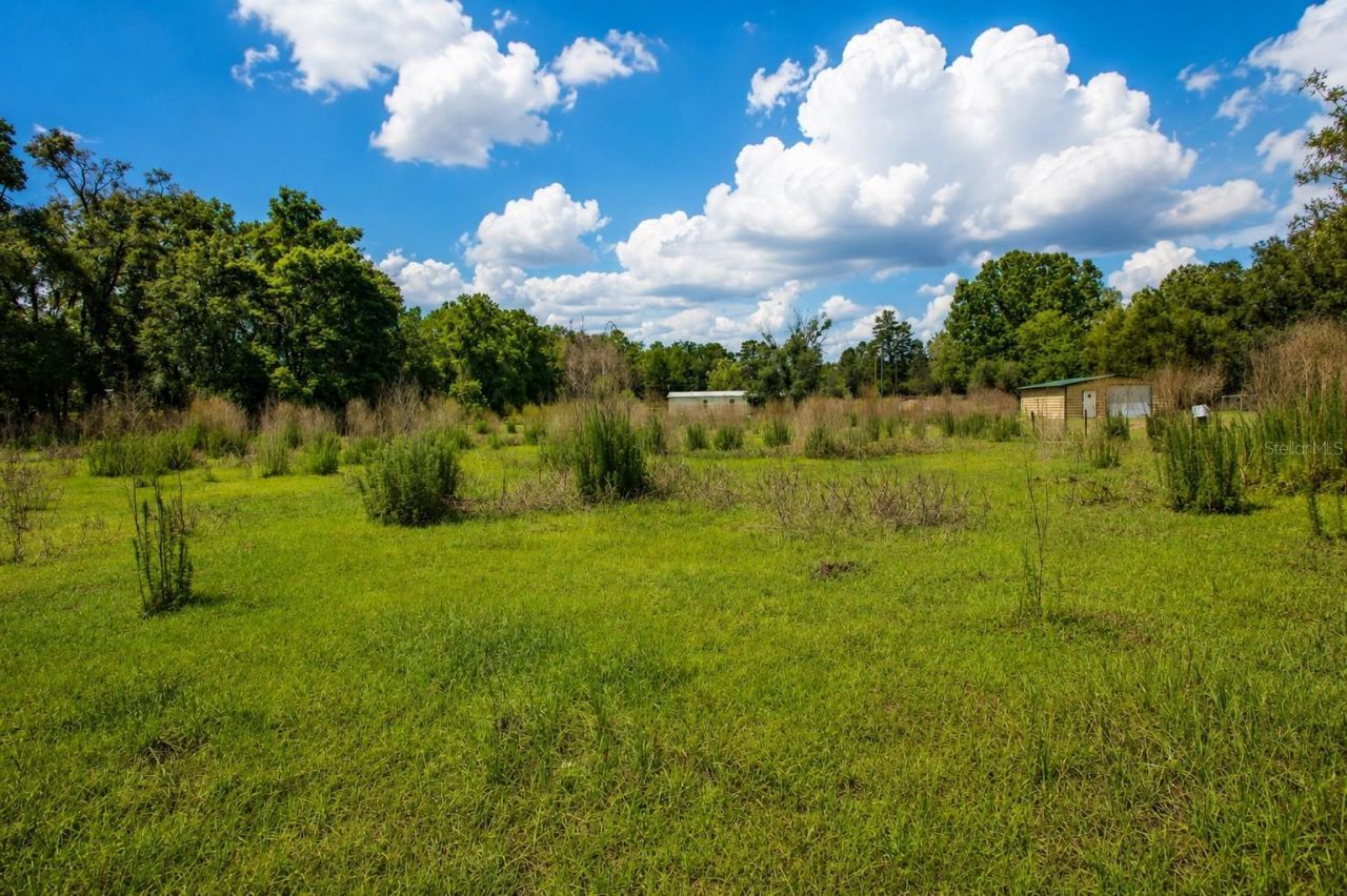 21313 NW 56th Place , Newberry, FL 32669 Photo