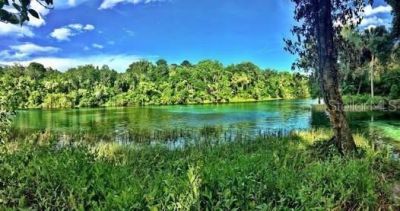 20707 Walnut Street, Dunnellon, FL 34431 Photo