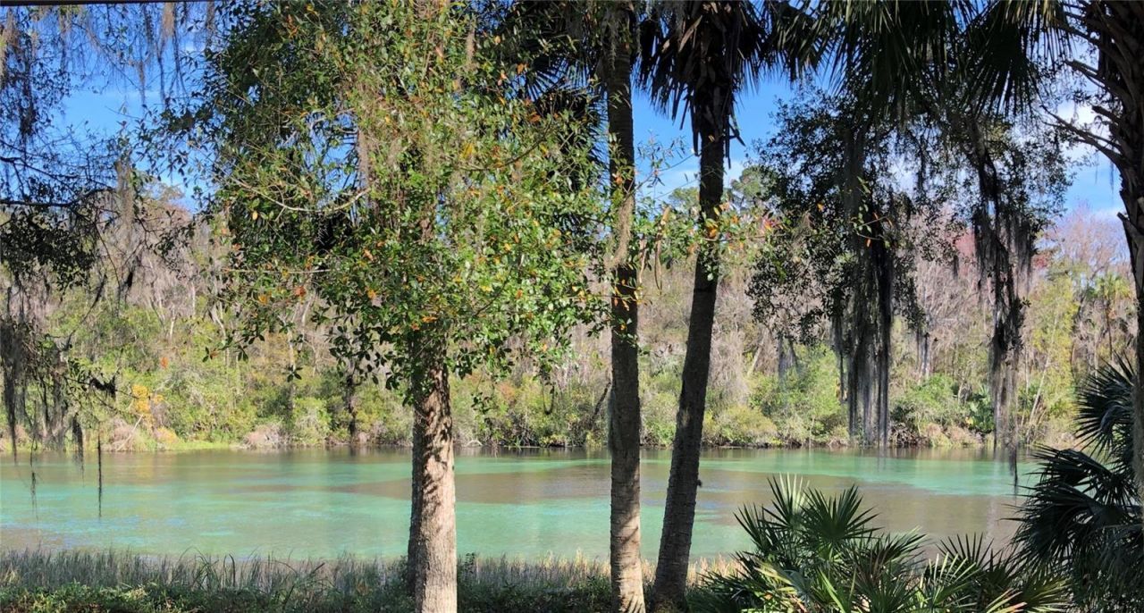 20707 Walnut Street, Dunnellon, FL 34431 Photo