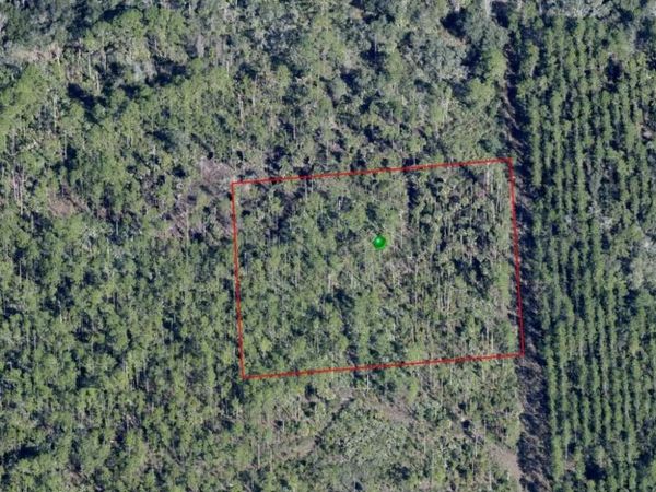 LAKE HARNEY ROAD , OSTEEN, FL 32764