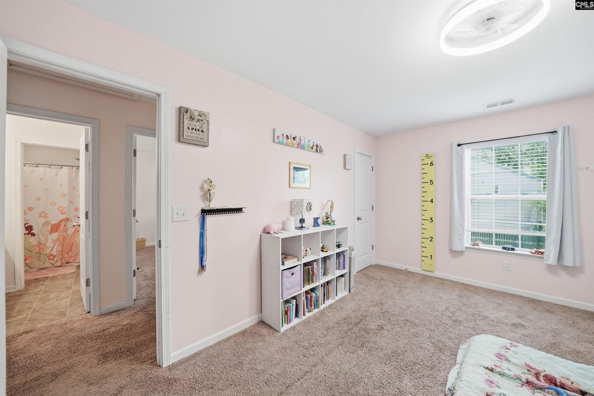 536 Colony Lakes Drive Photo 19