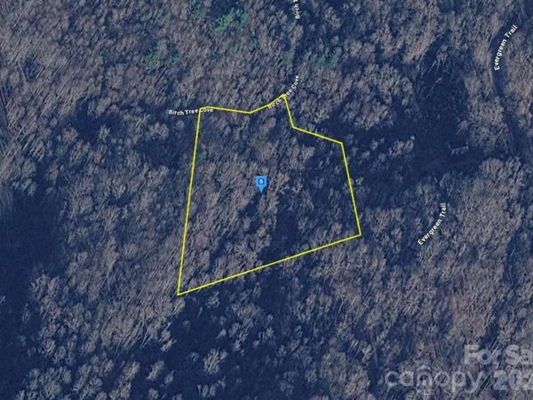 111 Birch Tree Cove , Franklin, NC 28734