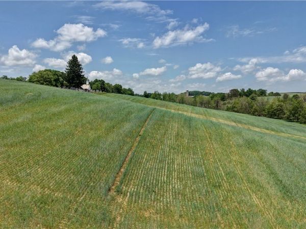 Renner Road , Fresno, OH 43824