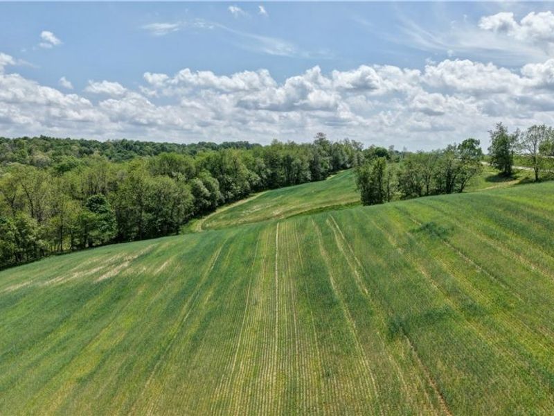 Renner Road , Fresno, OH 43824 Photo 3