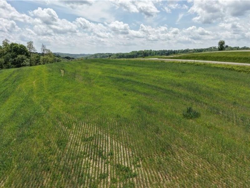 Renner Road , Fresno, OH 43824 Photo 8