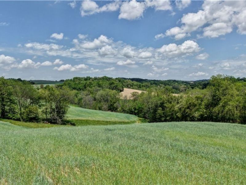 Renner Road , Fresno, OH 43824 Photo 9