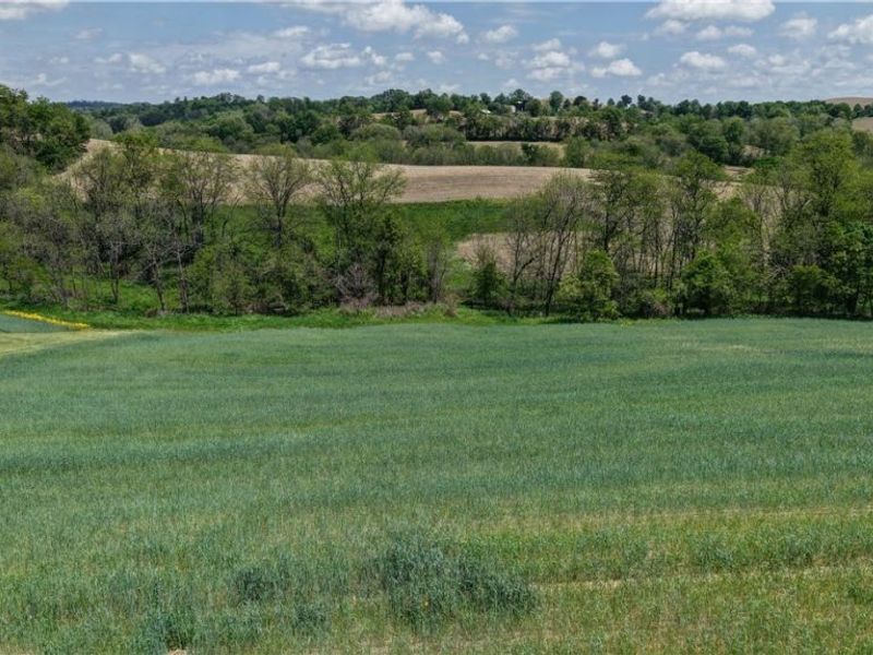 Renner Road , Fresno, OH 43824 Photo 9