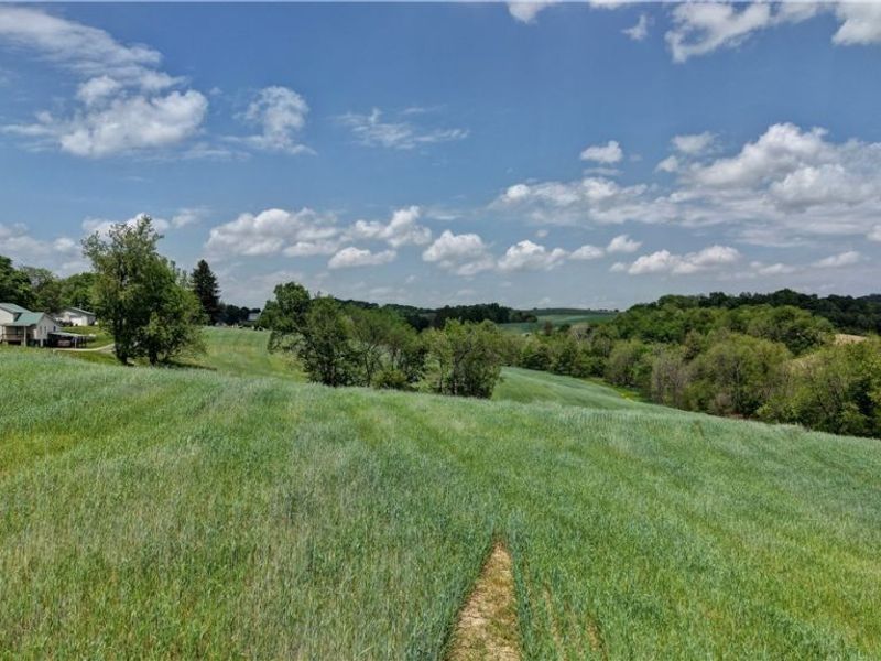Renner Road , Fresno, OH 43824 Photo 3