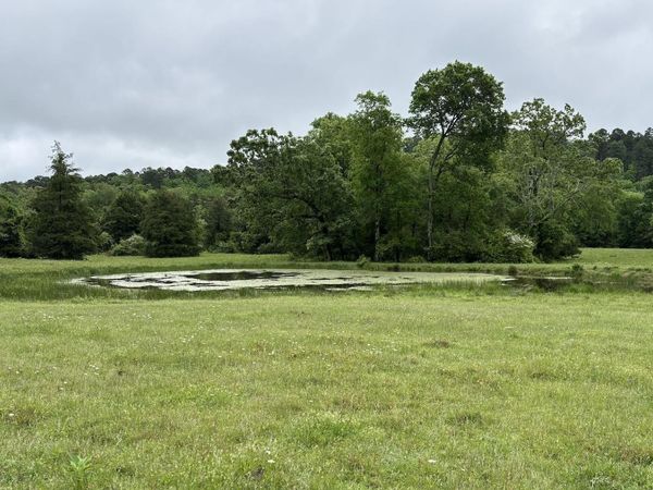 15 acres Liberty Road , Norman, AR 71960