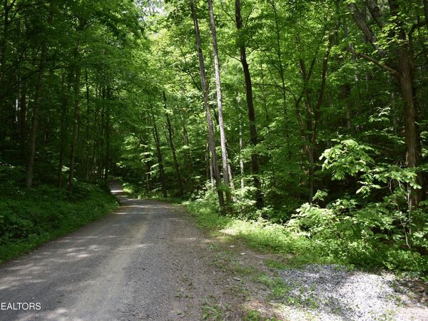 Shady Valley Rd, Ewing, VA 24248