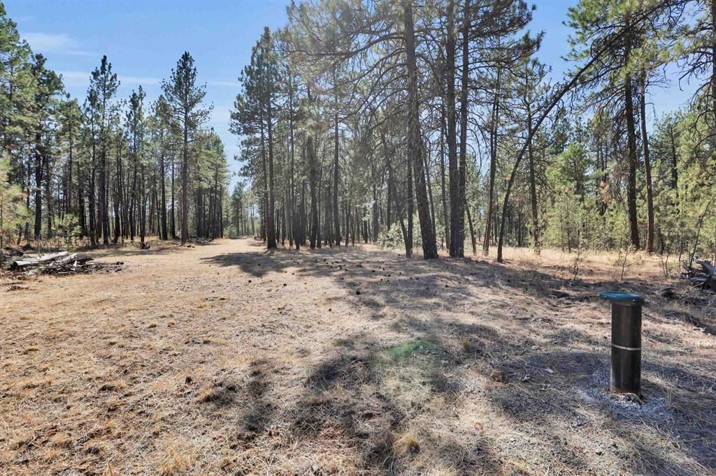 16619 S Sherman Rd, Cheney, WA 99004 Main Photo