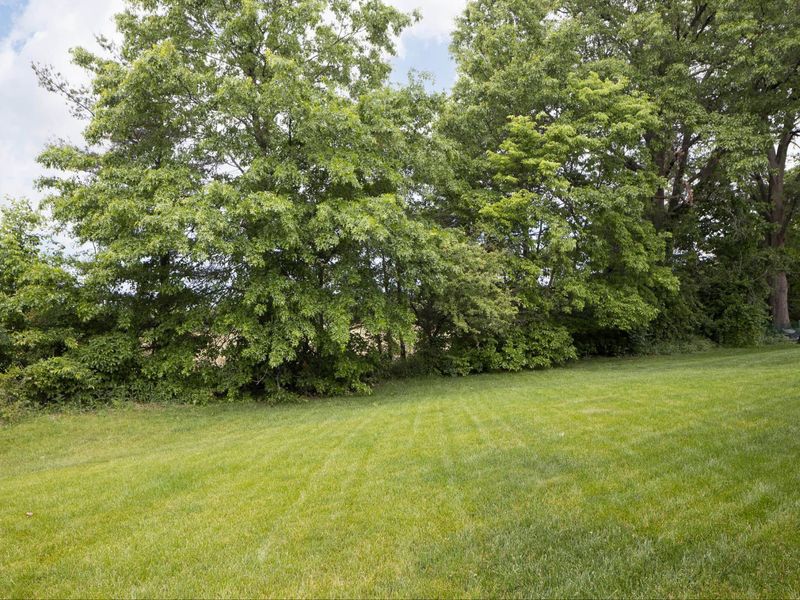 7329 Dean Farm Road, New Albany, OH 43054 Photo 56