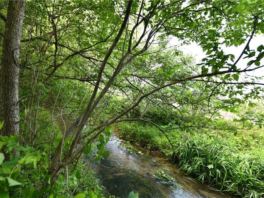 Property Image 71