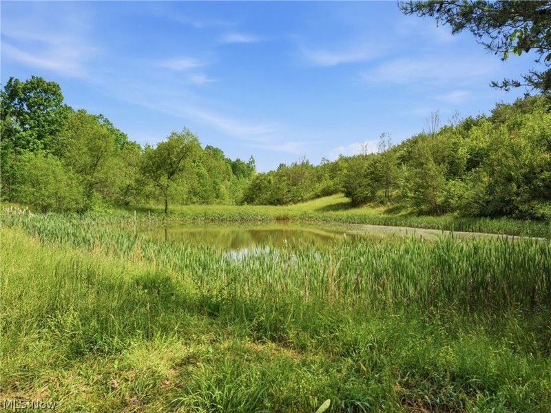 870 Rubrake Road, Fleming, OH 45729 Photo 42