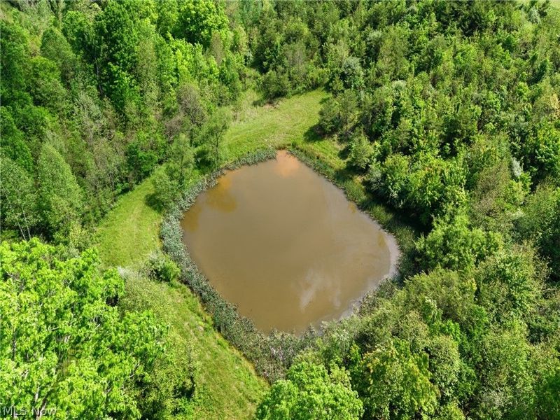 870 Rubrake Road, Fleming, OH 45729 Photo 43