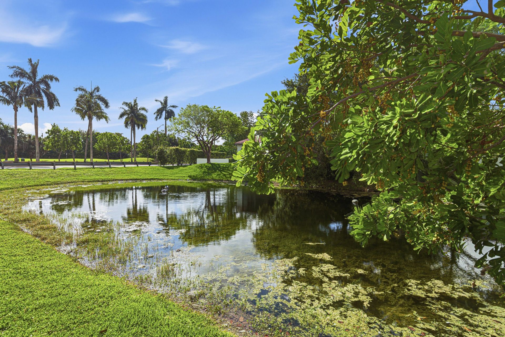 8207 Fairway Road Road, Unit 8207, Sunrise, FL 33351 Photo