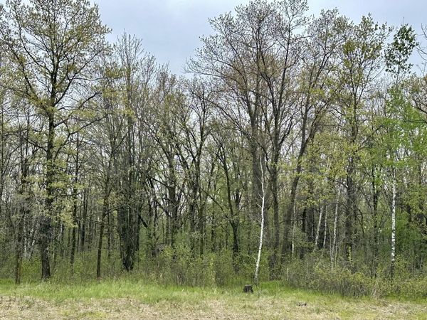 TBD Jewel Road , Little Falls, MN 56345
