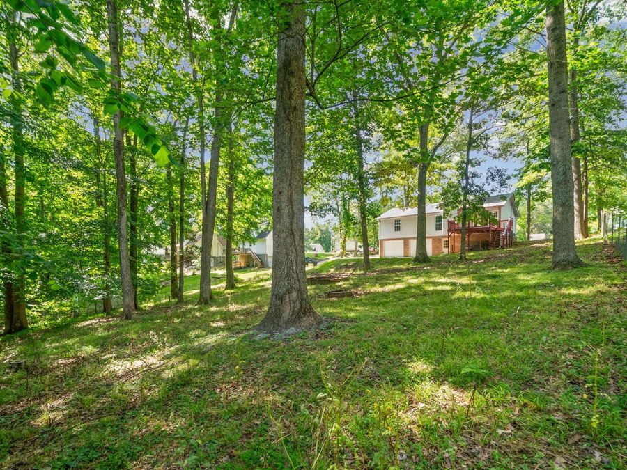 Property Image 52