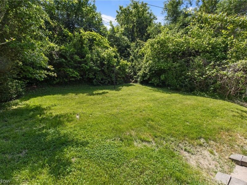 415 Whitely Street, Bridgeport, OH 43912 Photo 23