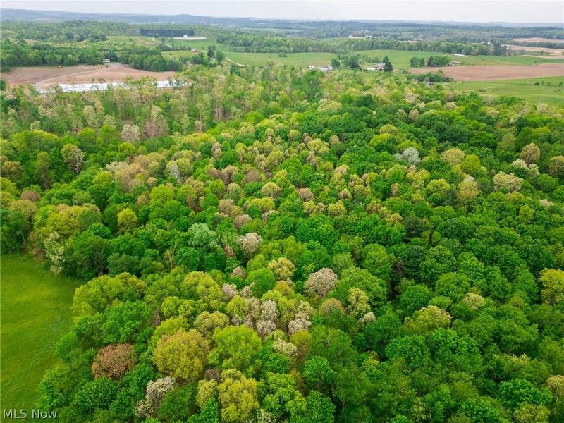Emerick Road , Salineville, OH 43945 Photo 21