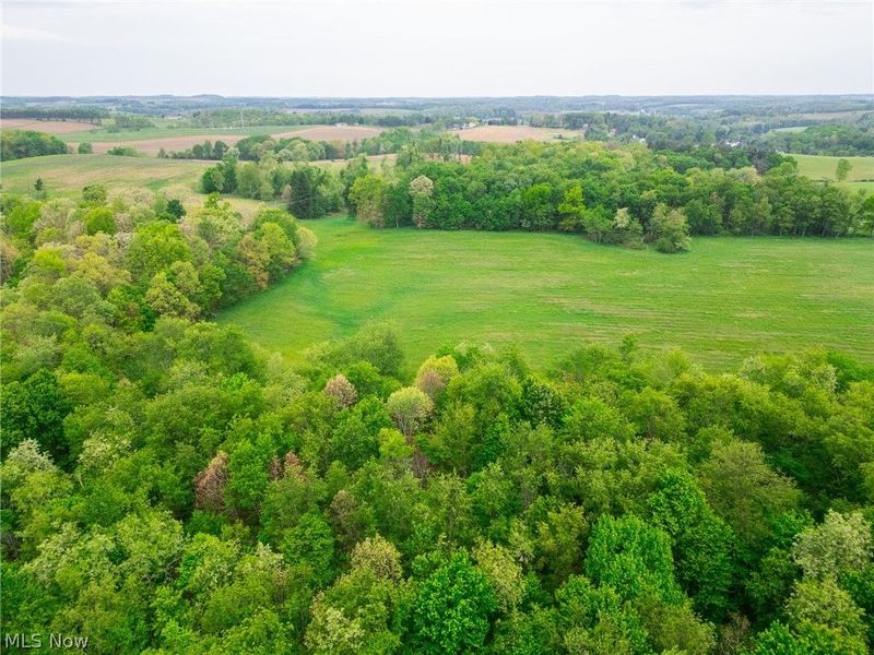 Emerick Road , Salineville, OH 43945 Photo 43