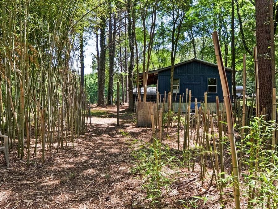 Property Image 38