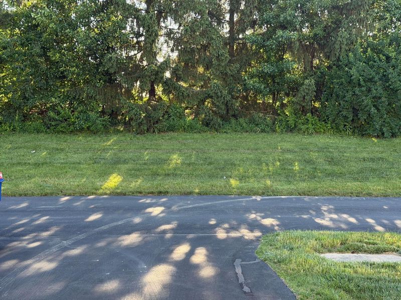 8295 Carano Way, Columbus, OH 43240 Photo 13