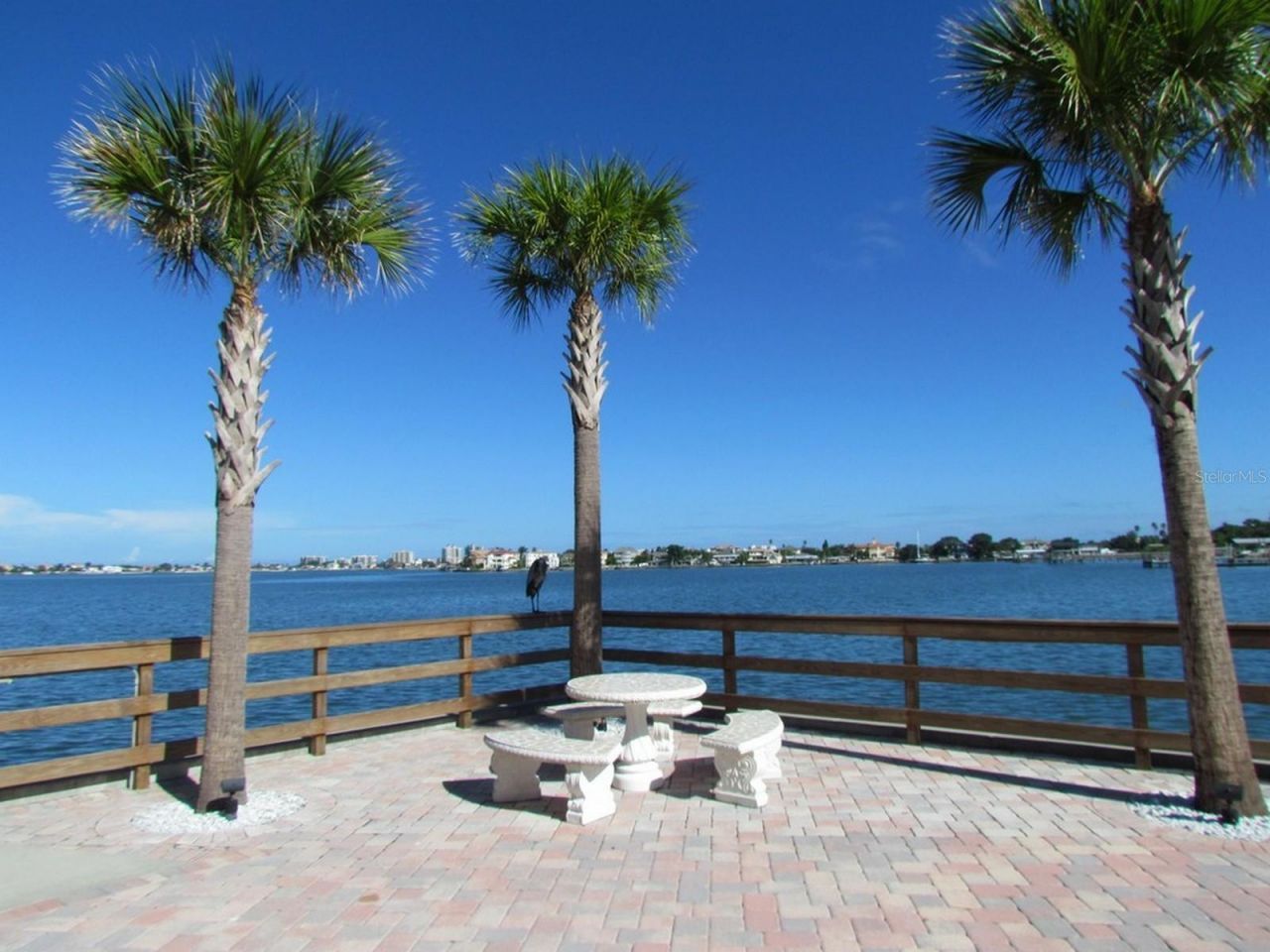 100 Bluff View Drive, Unit 311A, Belleair Bluffs, FL 33770 Photo