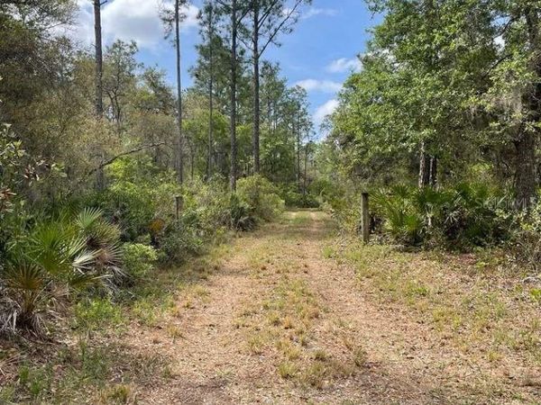 E HWY 318 , CITRA, FL 32113