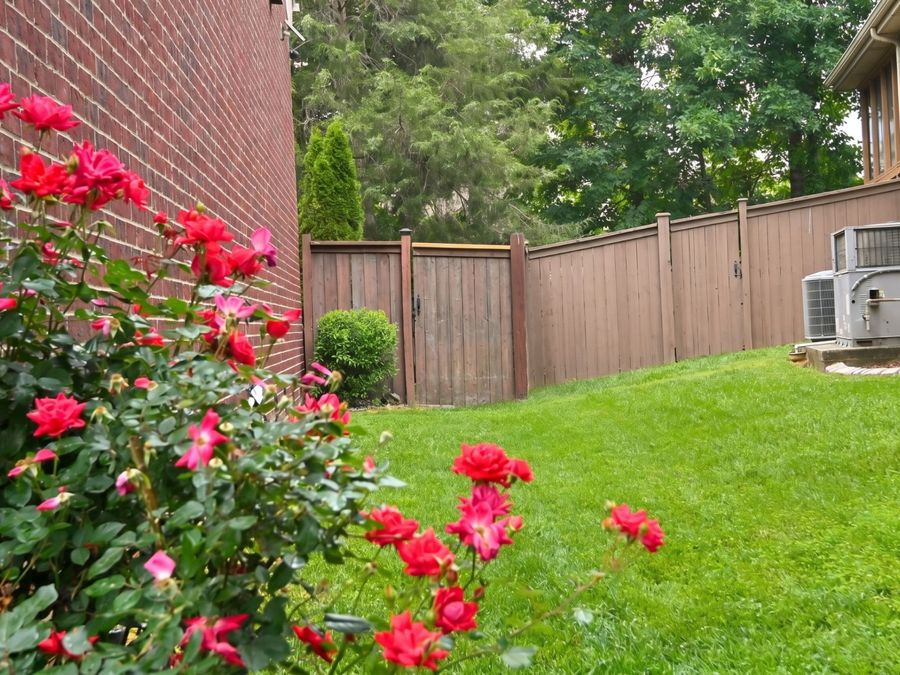 Property Image 82
