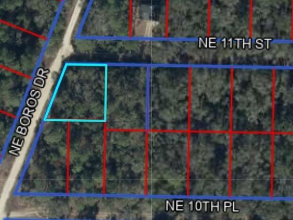 TBD NE 11TH Street, Williston, FL 32696