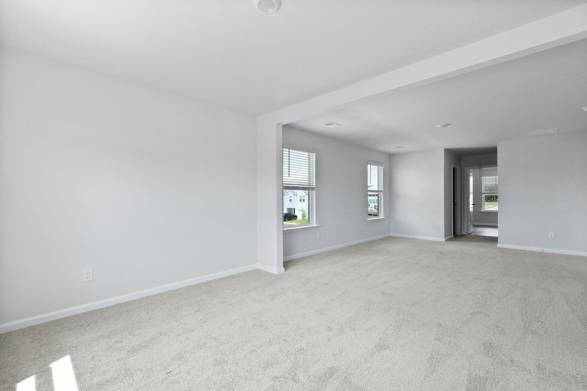 116 Longbeard Drive Photo 23