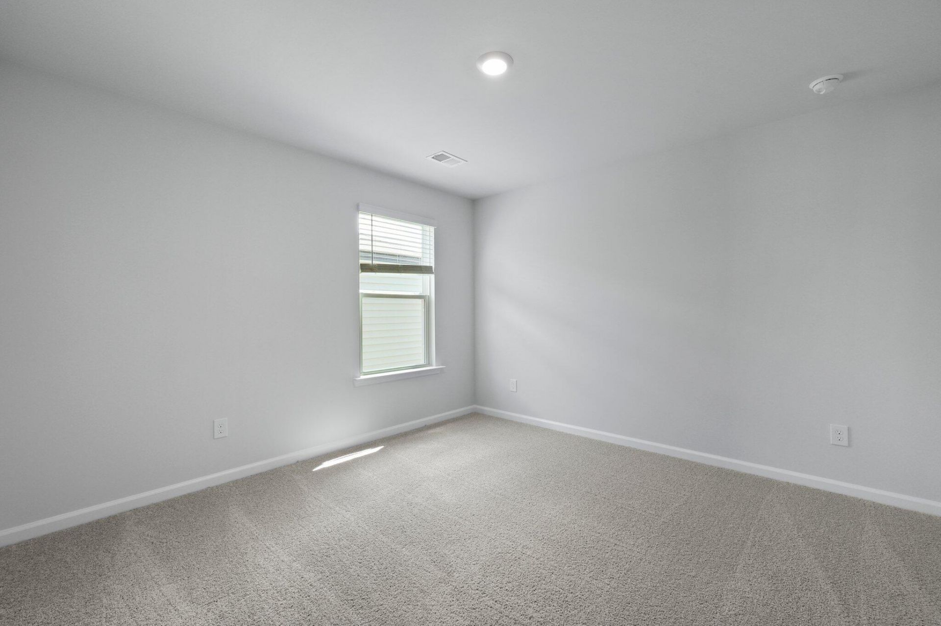 116 Longbeard Drive Photo 34