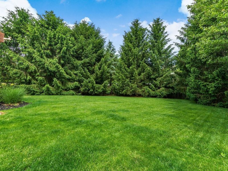 1465 Cottonwood Drive, Lewis Center, OH 43035 Photo 37