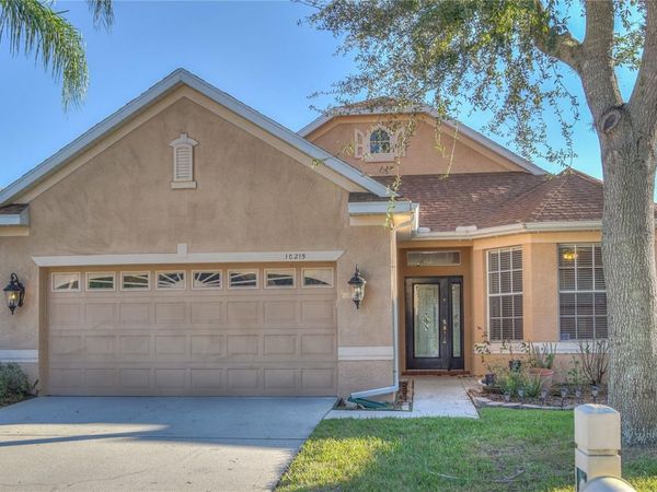 10215 EVERGREEN HILL DRIVE , TAMPA, FL 33647