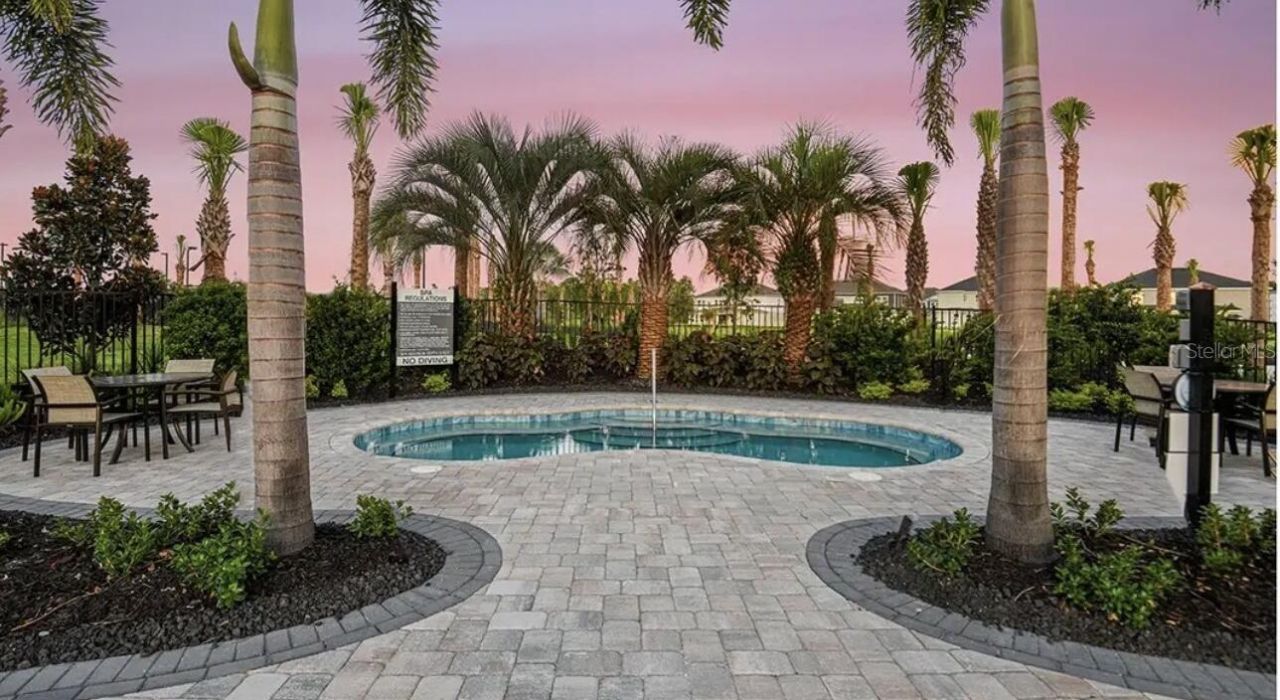33320 Castaway Loop, Wesley Chapel, FL 33543 Photo